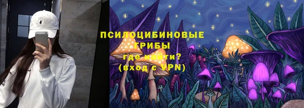 ешки Богородицк