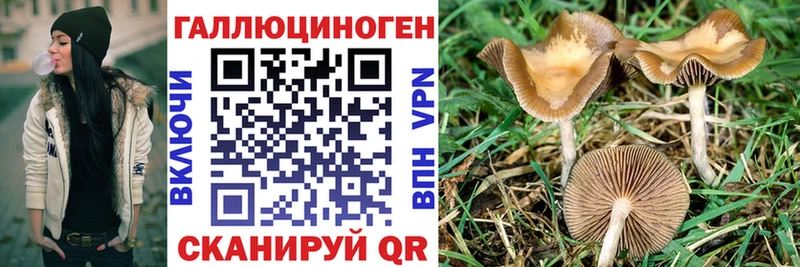 закладки  Мелеуз  Галлюциногенные грибы мухоморы 
